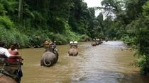 Chiang Dao Elephant Jungle Trek and Ping River Rafting Tour from ...  