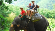 Phuket Half-Day Safari Tour 
