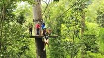 Private Tour: Cycling and Zipline Adventure from Chiang Mai 